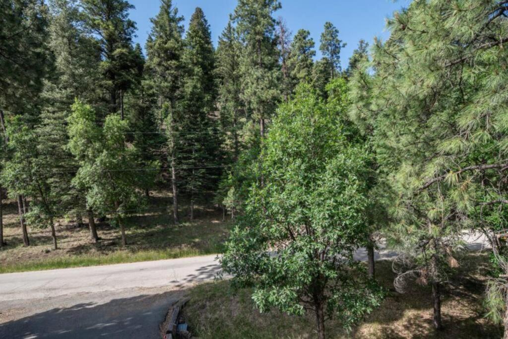 Вилла Trailhead Hideaway Руидозо Экстерьер фото